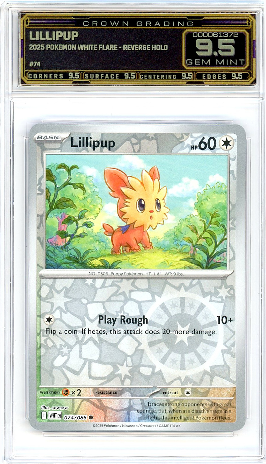 Lillipup