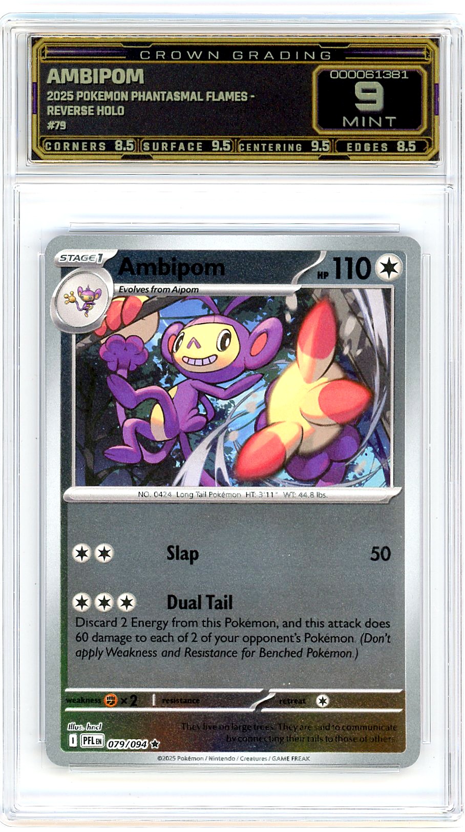 Ambipom