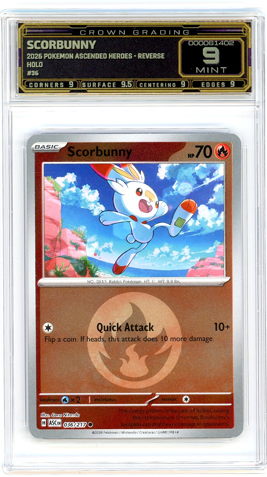 Scorbunny