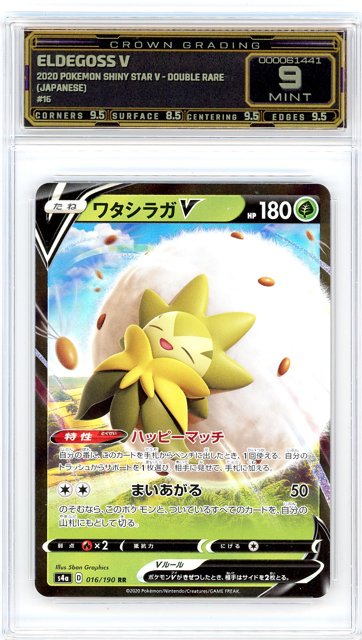 Eldegoss V