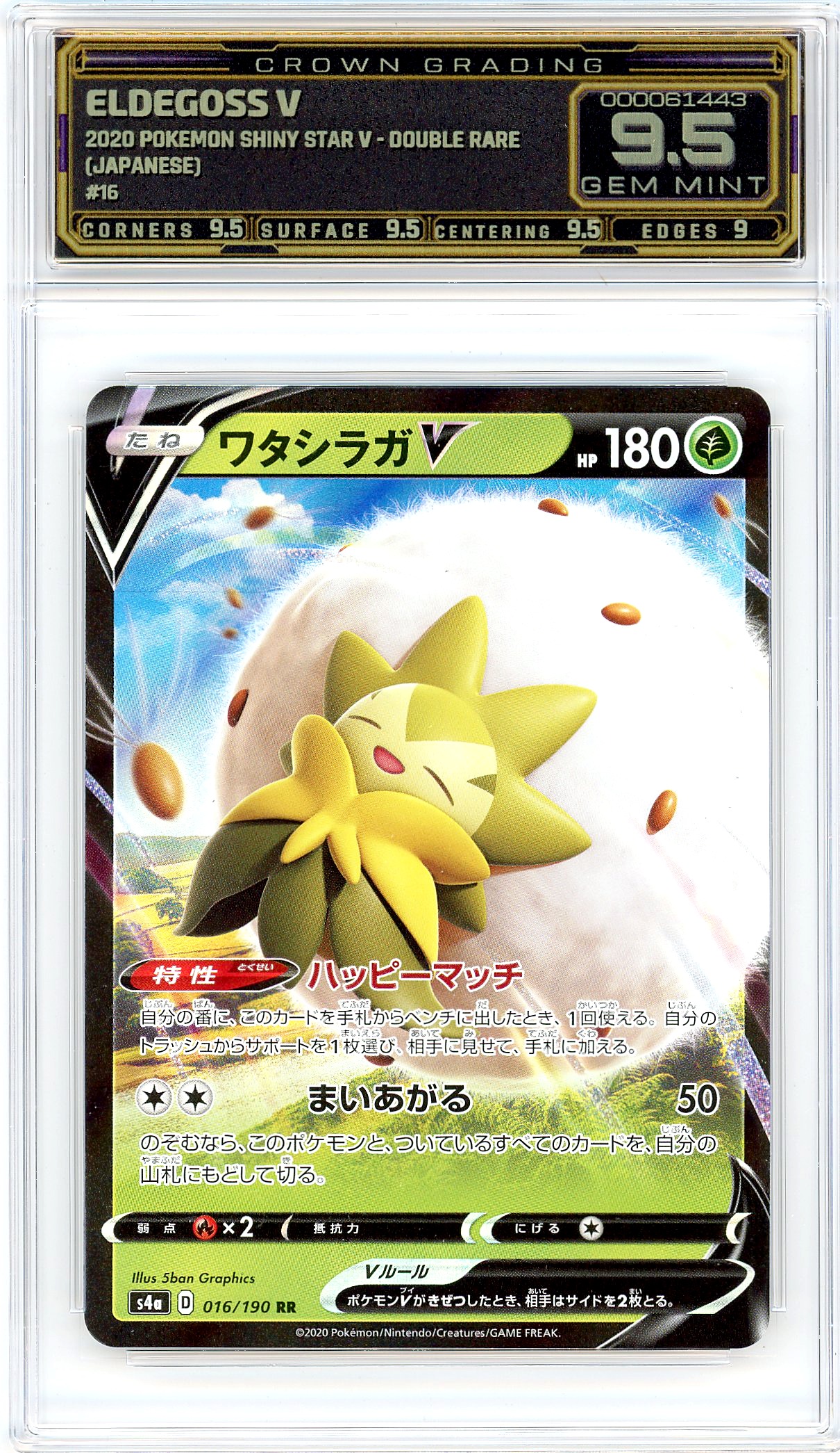 Eldegoss V