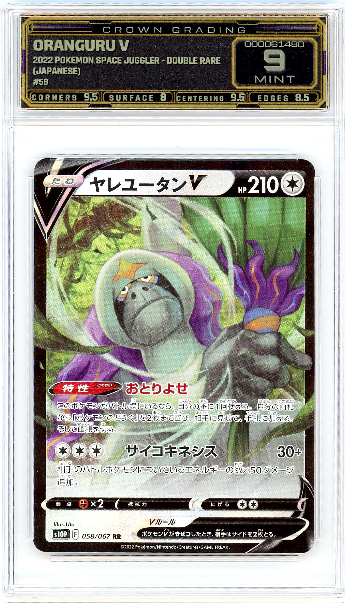 Oranguru V