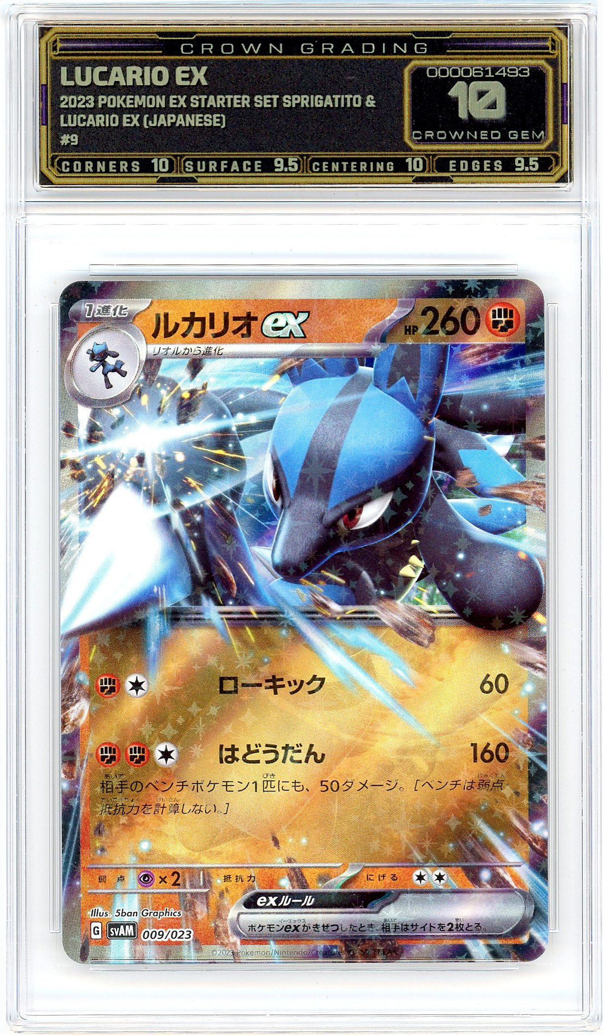 Lucario ex