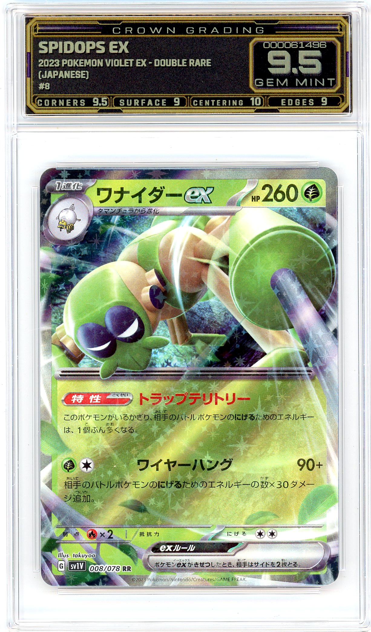 Spidops ex