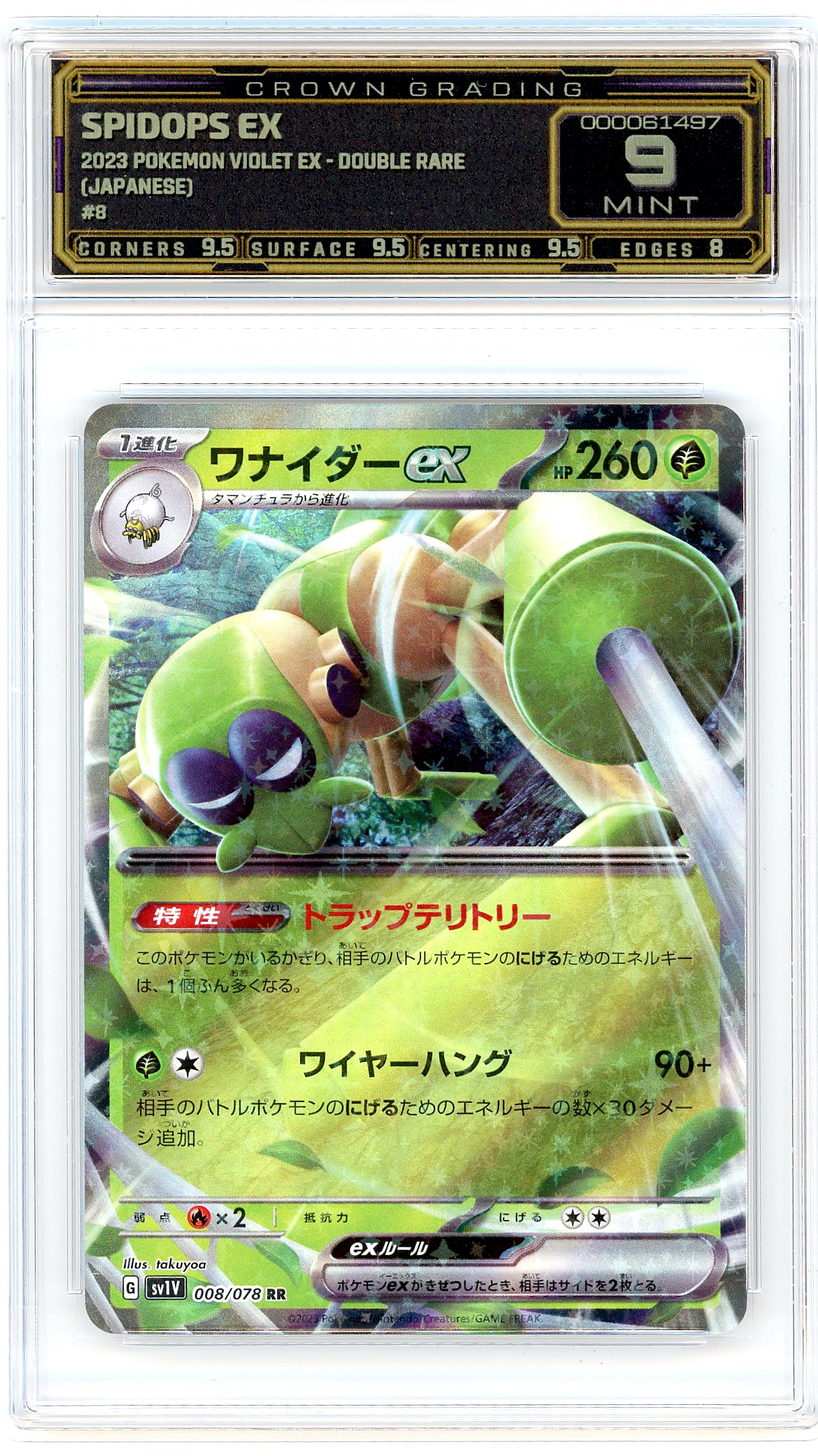 Spidops ex