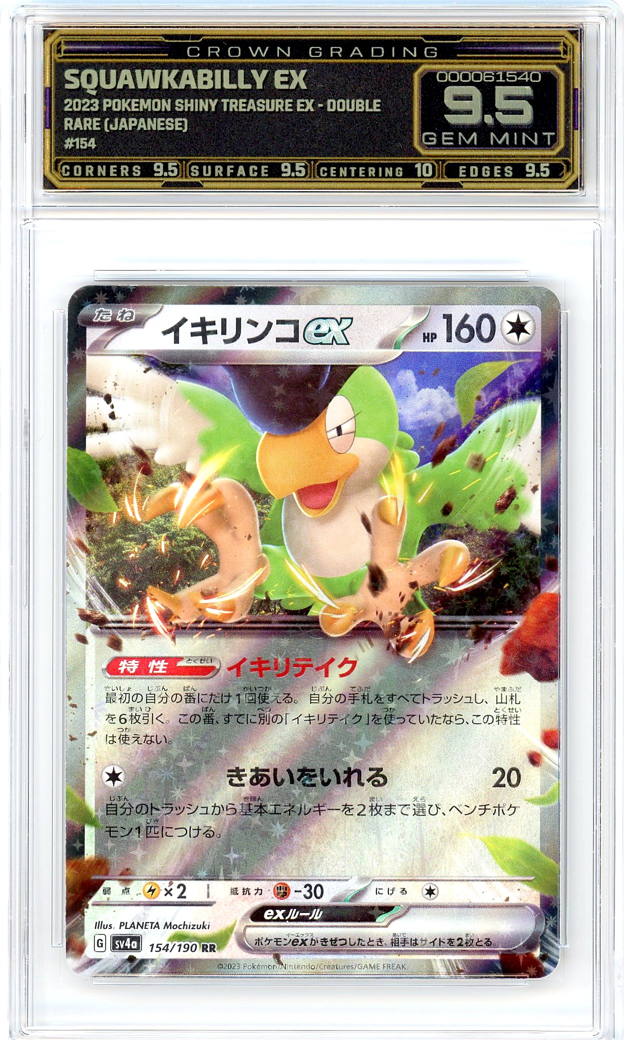 Squawkabilly ex