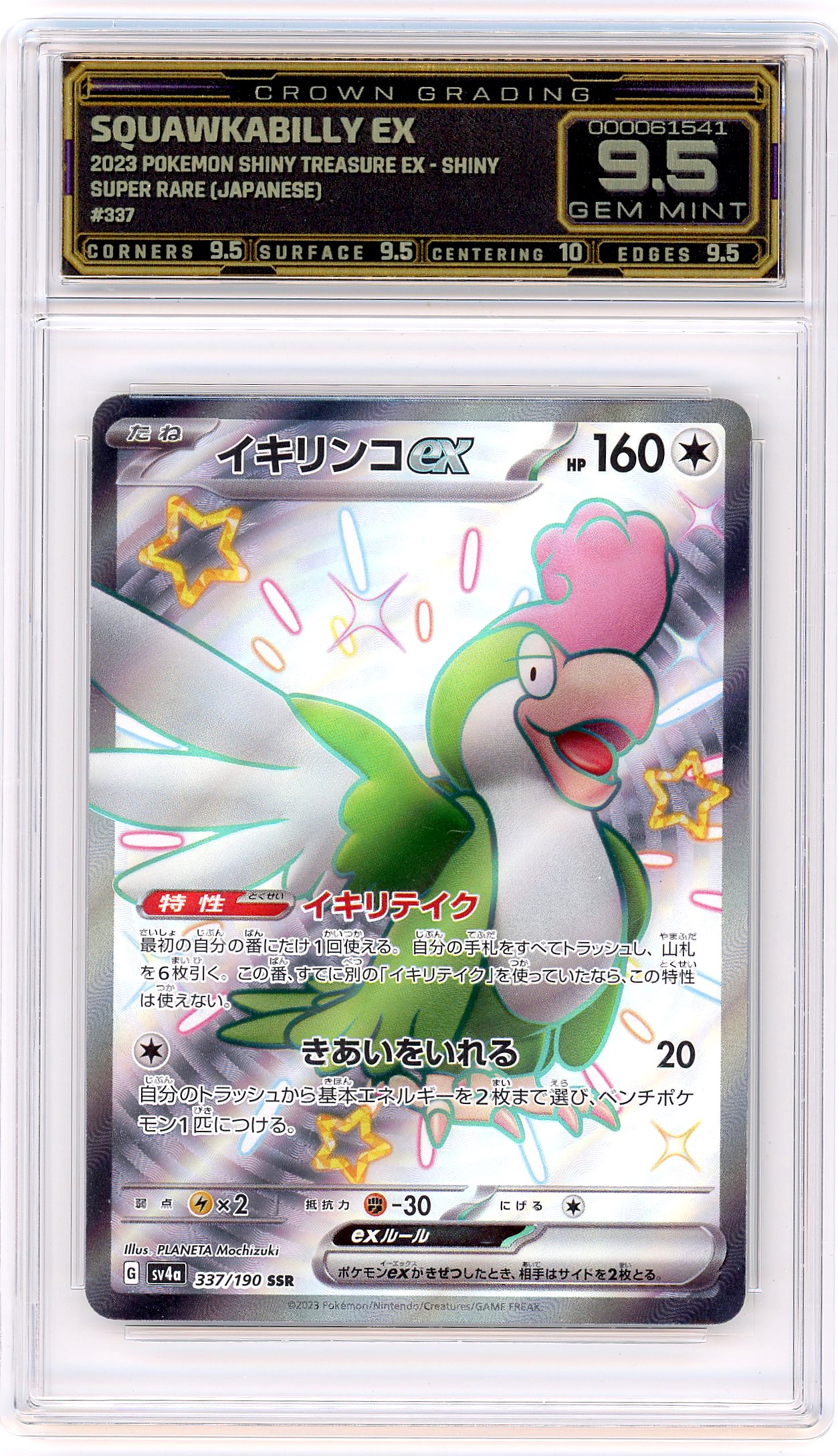 Squawkabilly ex