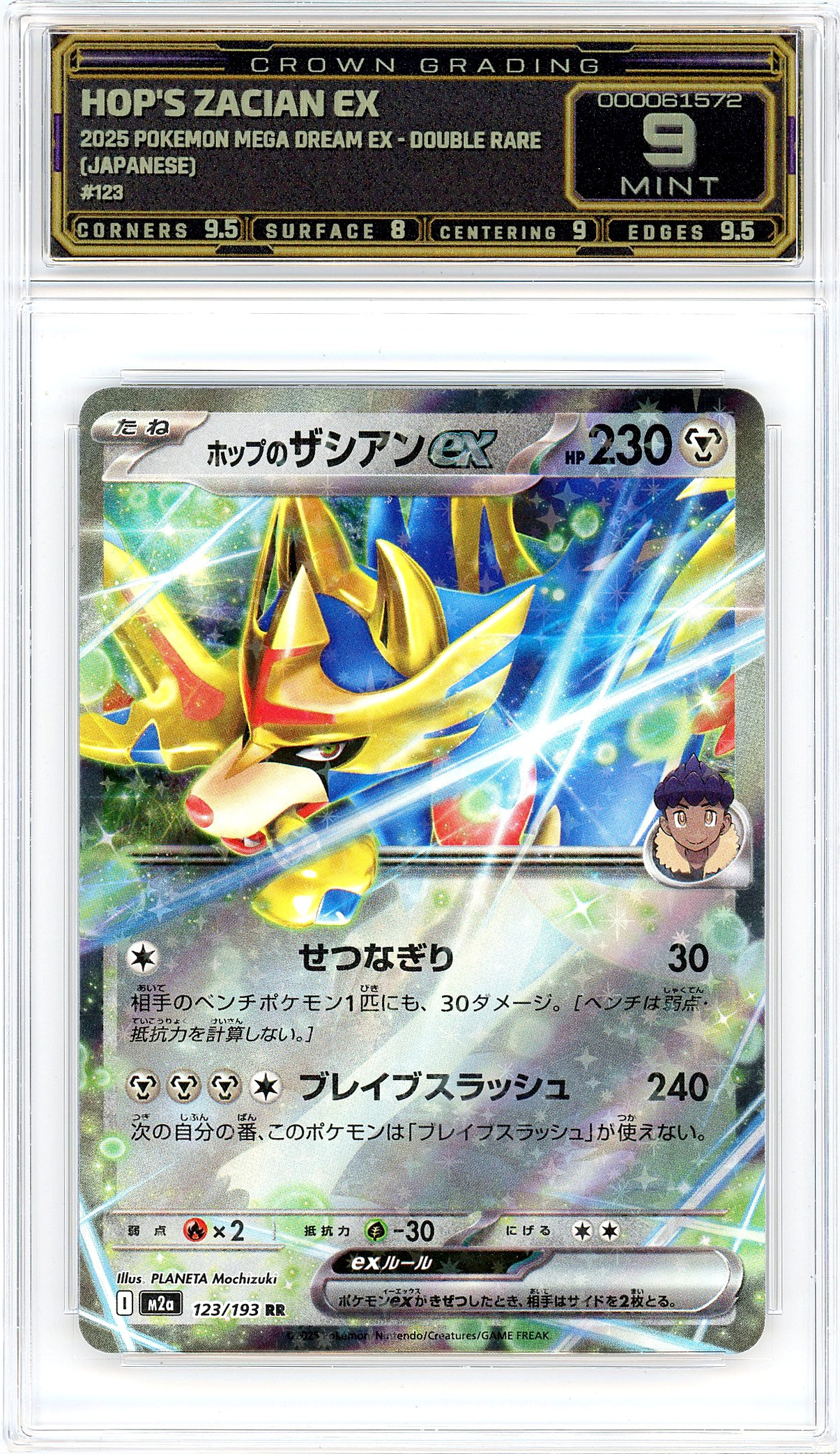 Hop's Zacian ex