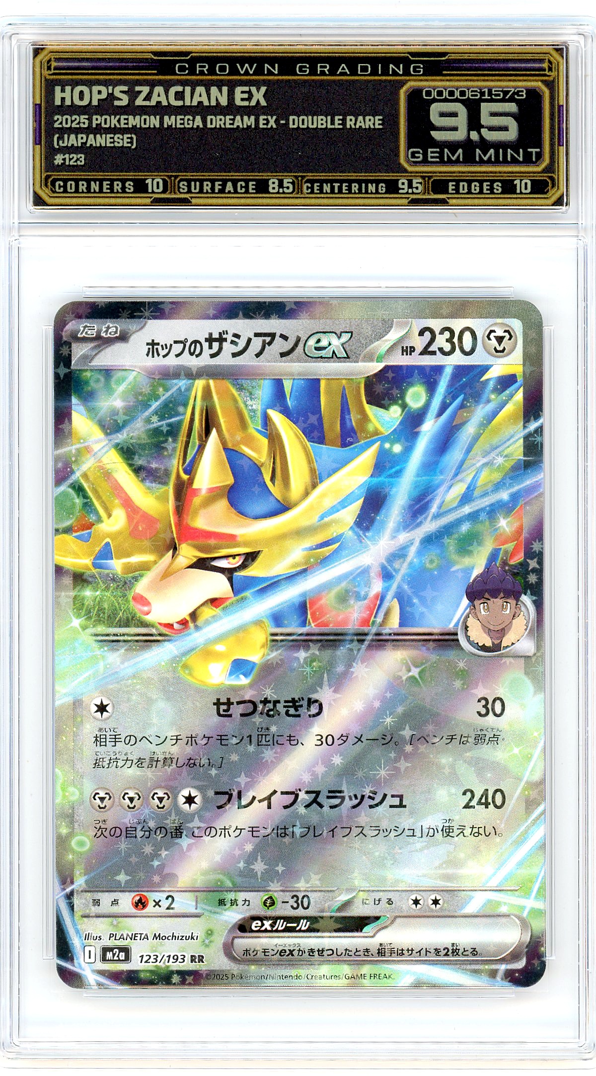Hop's Zacian ex
