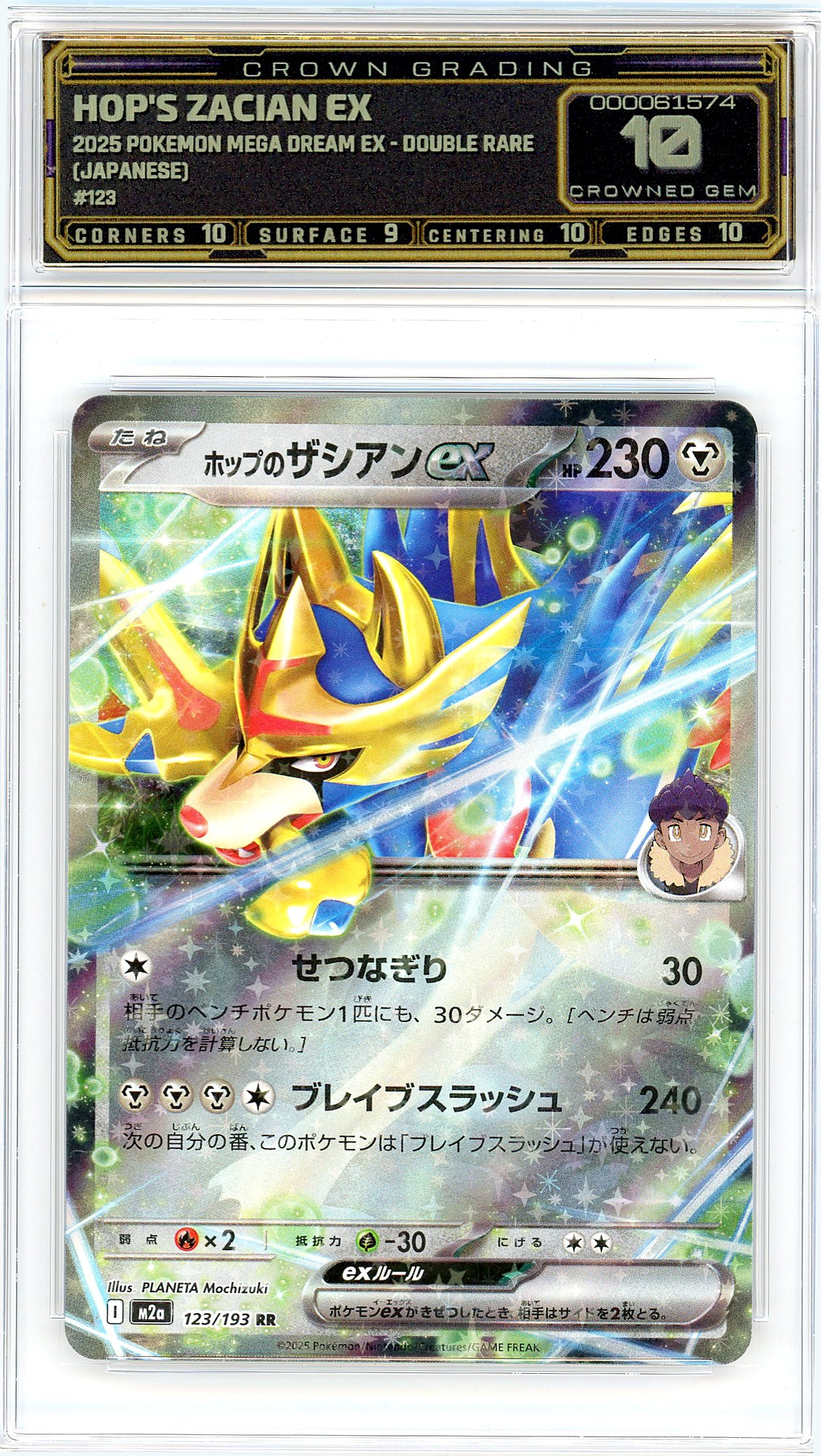 Hop's Zacian ex