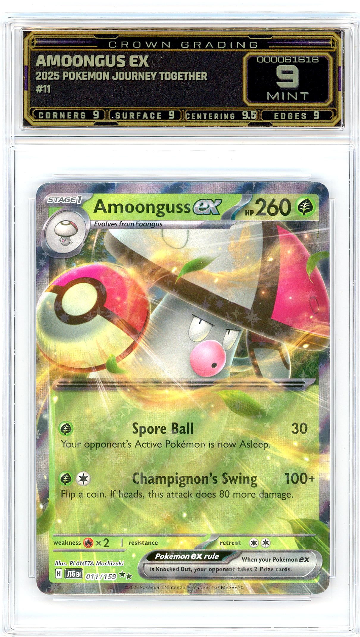 Amoongus ex