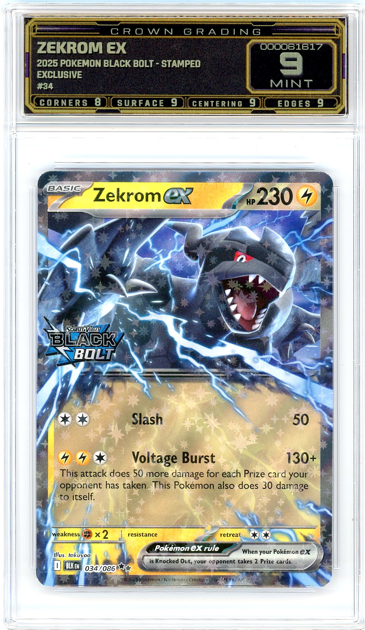 Zekrom ex