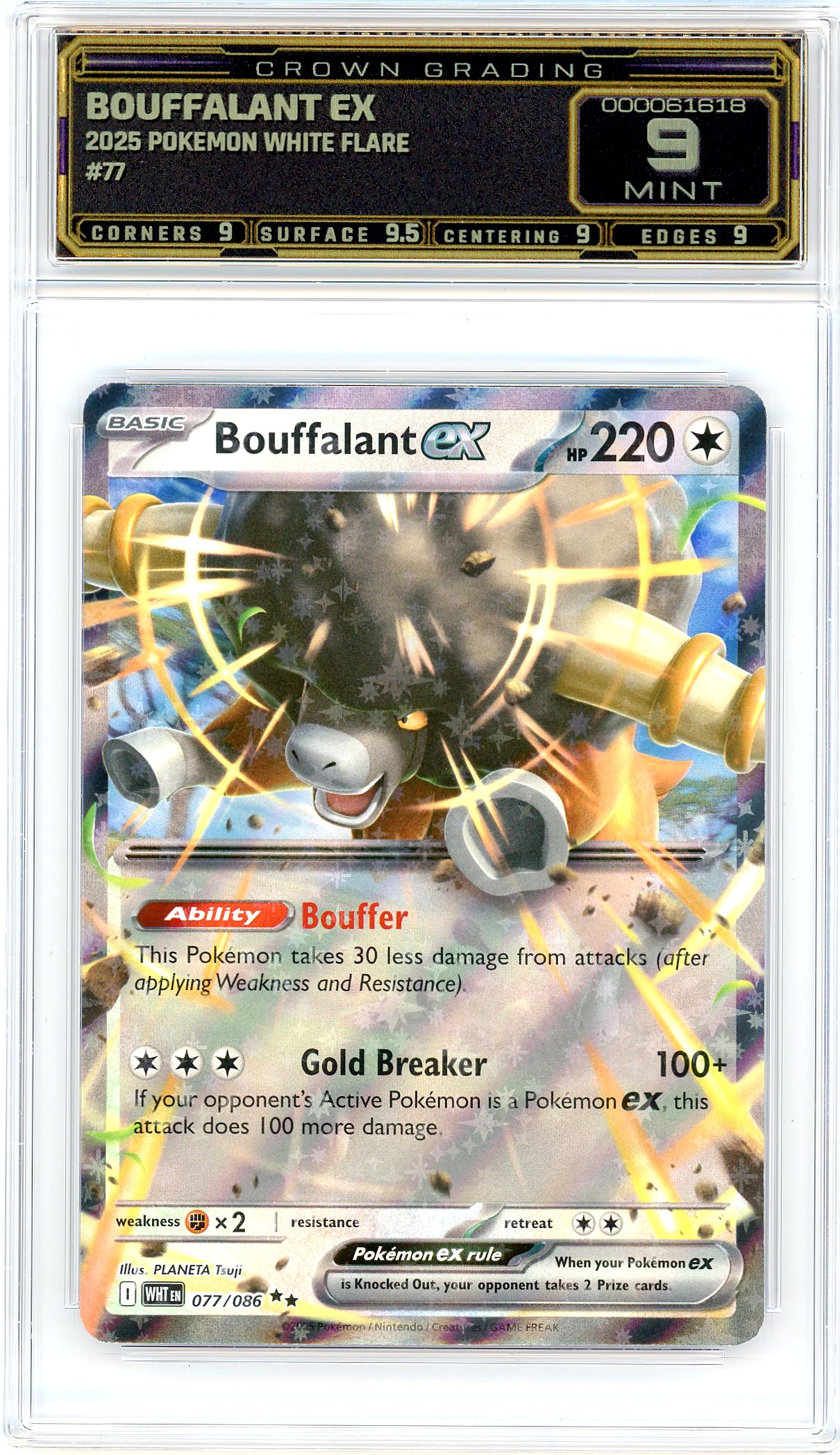 Bouffalant ex