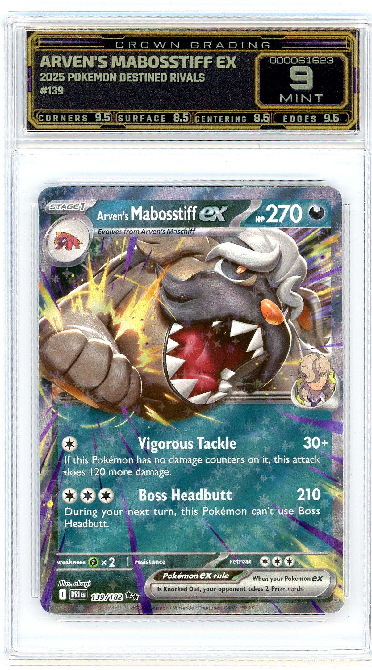 Arven's Mabosstiff ex