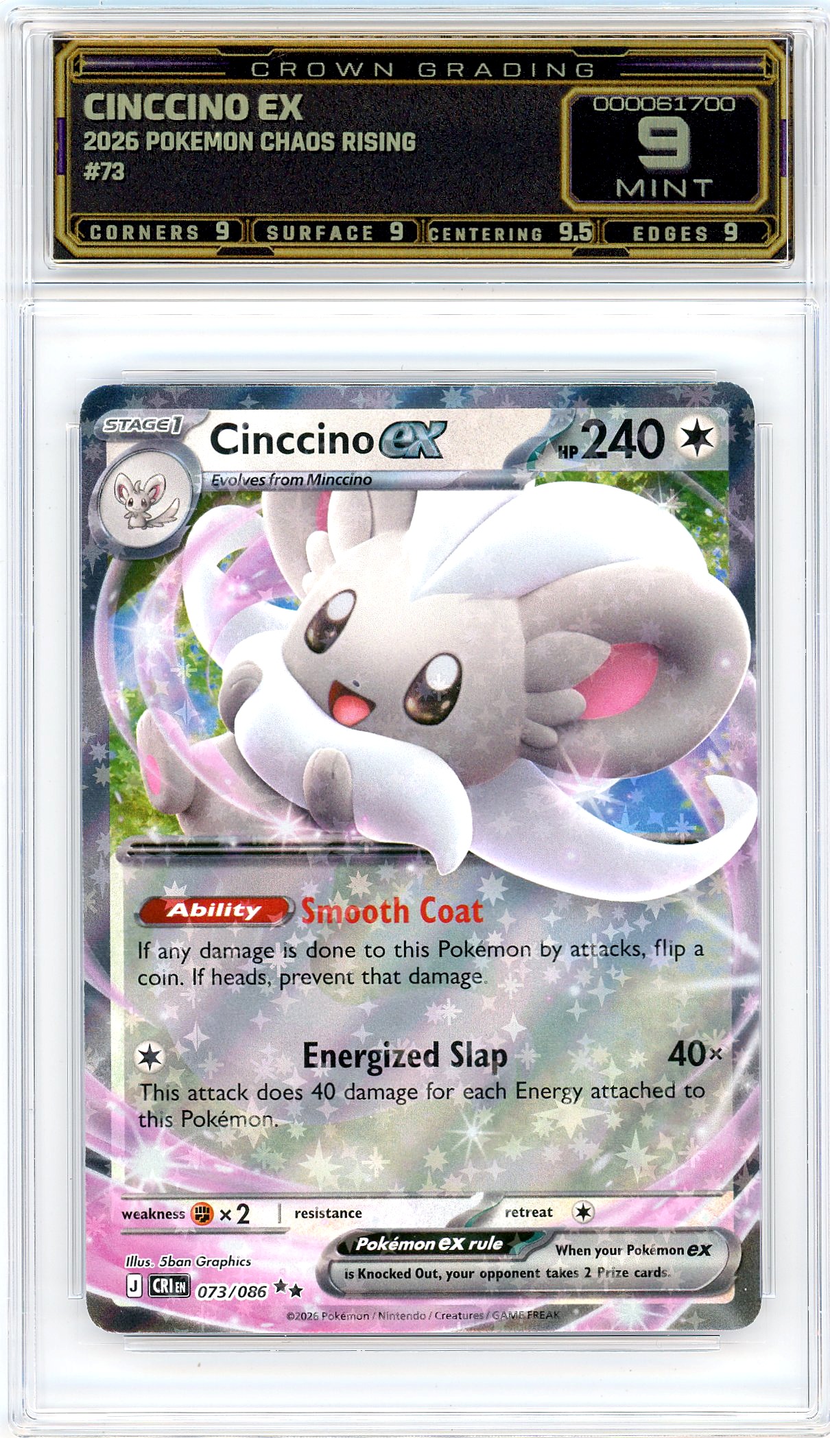 Cinccino ex