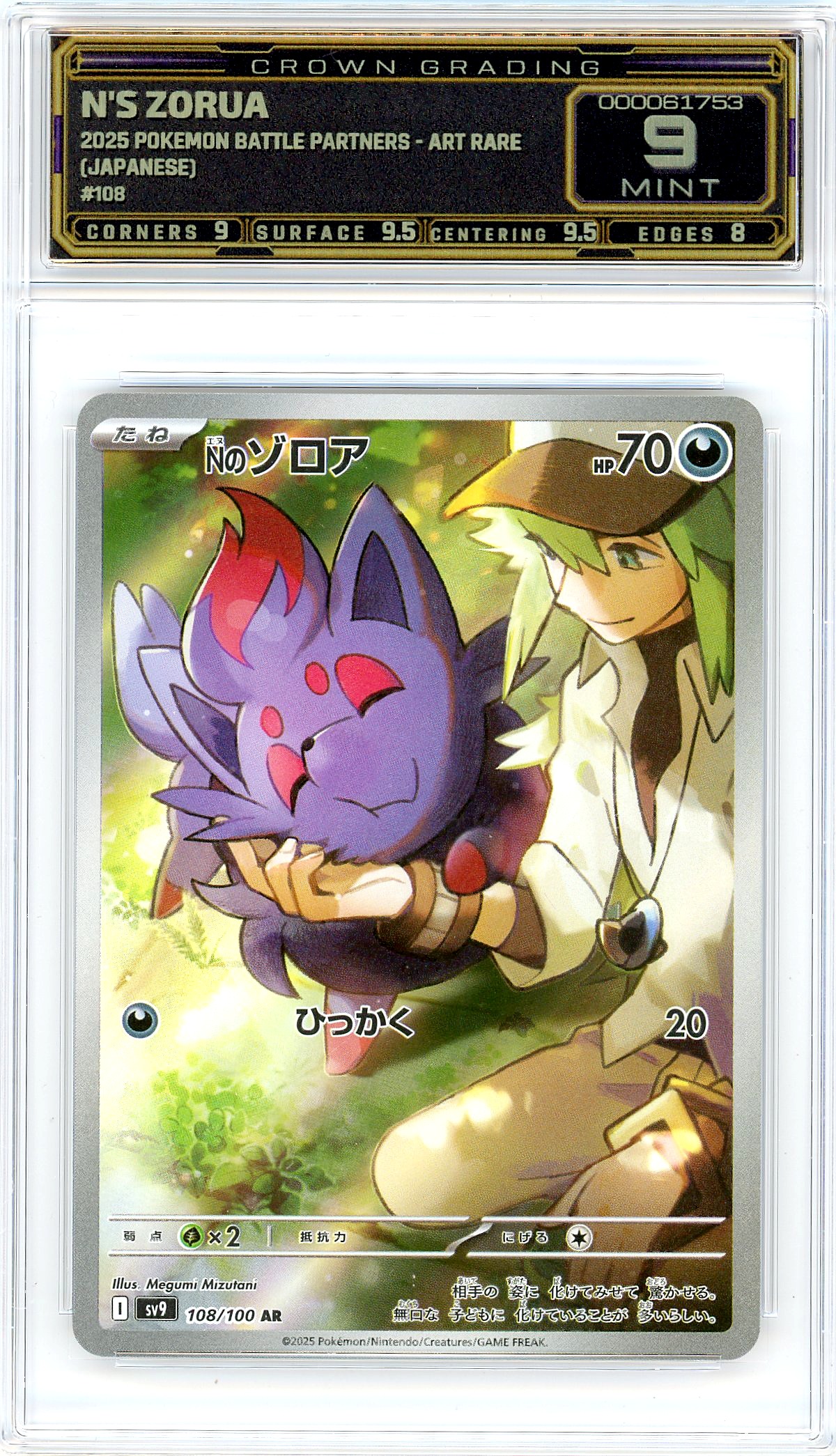 N's Zorua