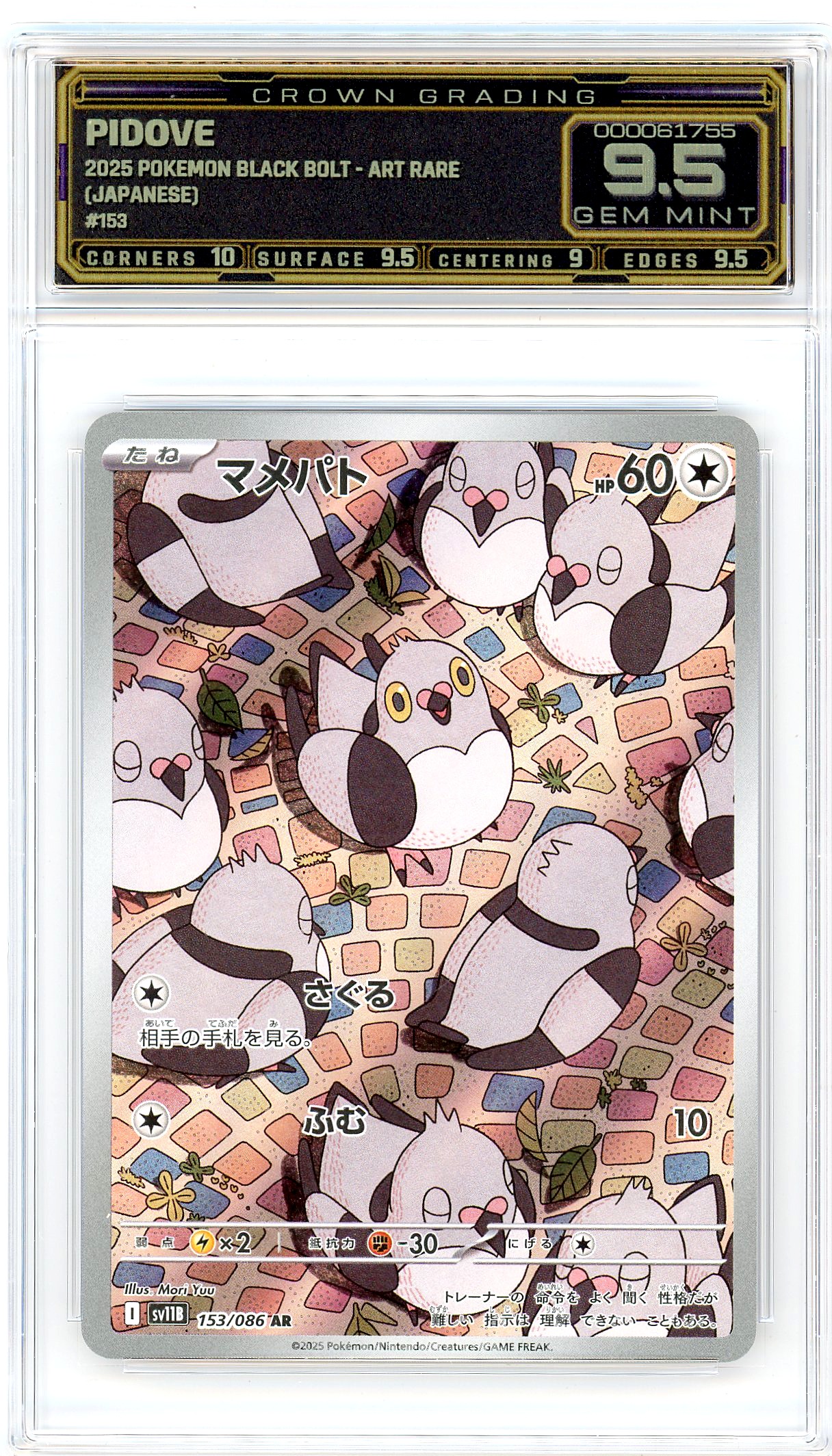 Pidove