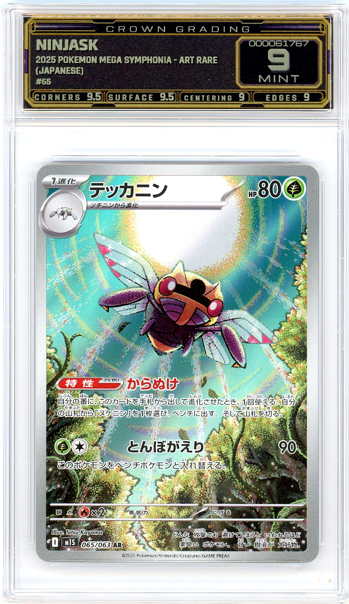 Ninjask