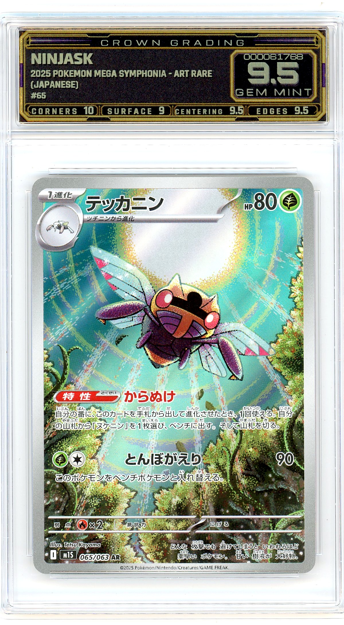 Ninjask