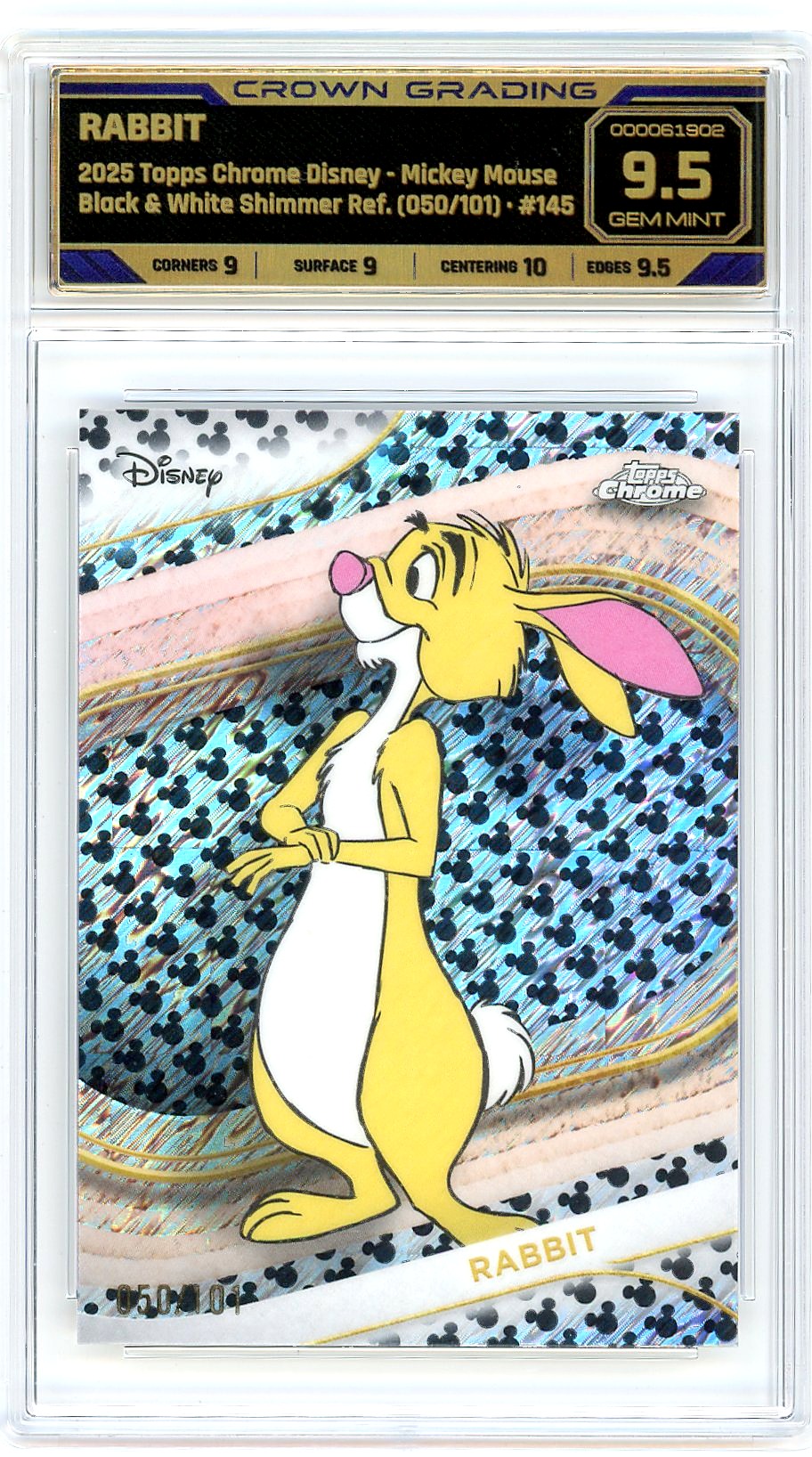 Rabbit