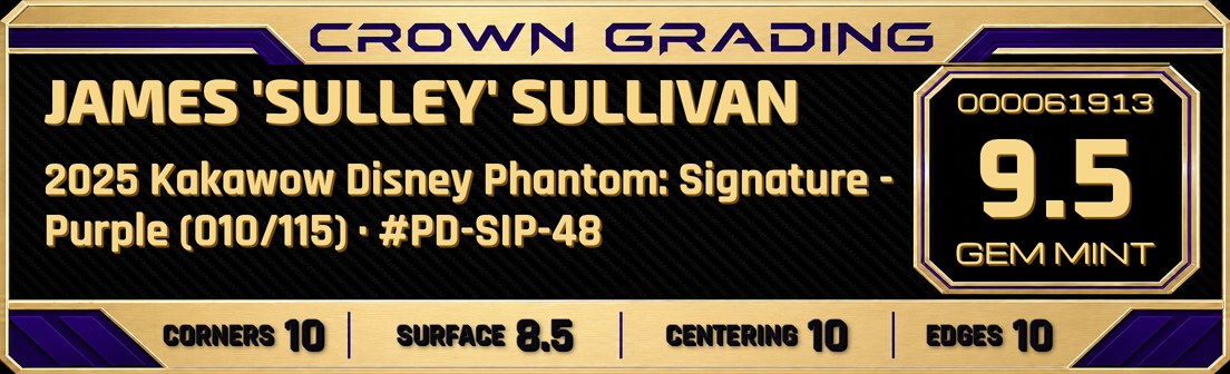 James 'Sulley' Sullivan