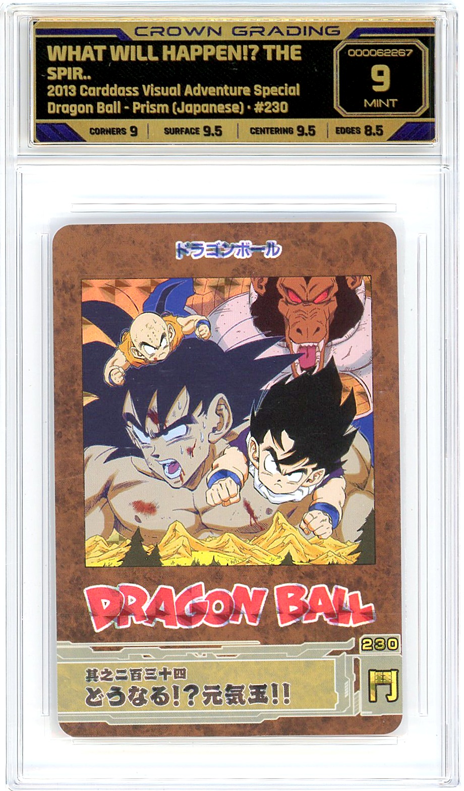What Will Happen!? The Spirit Bomb!!