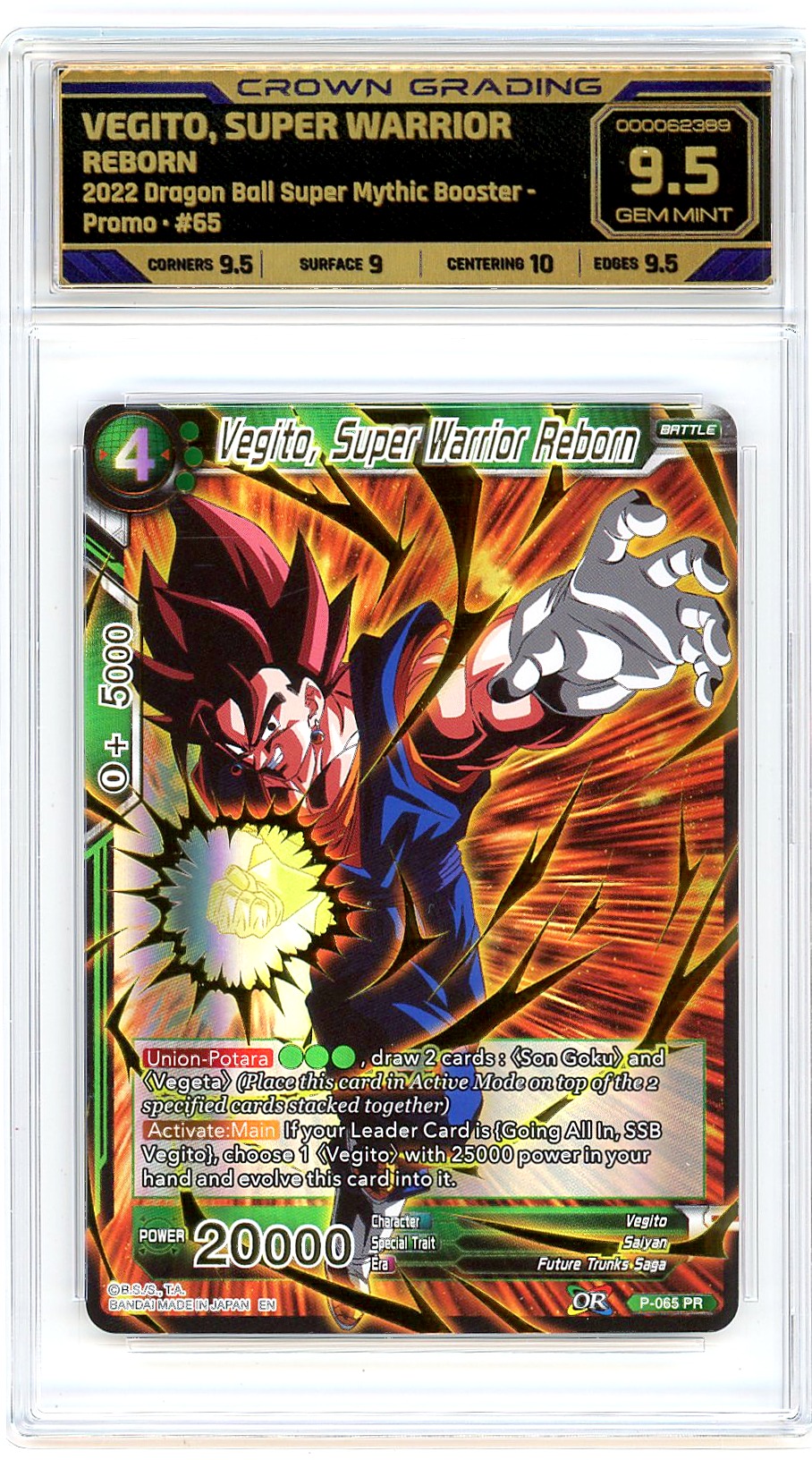 Vegito, Super Warrior Reborn