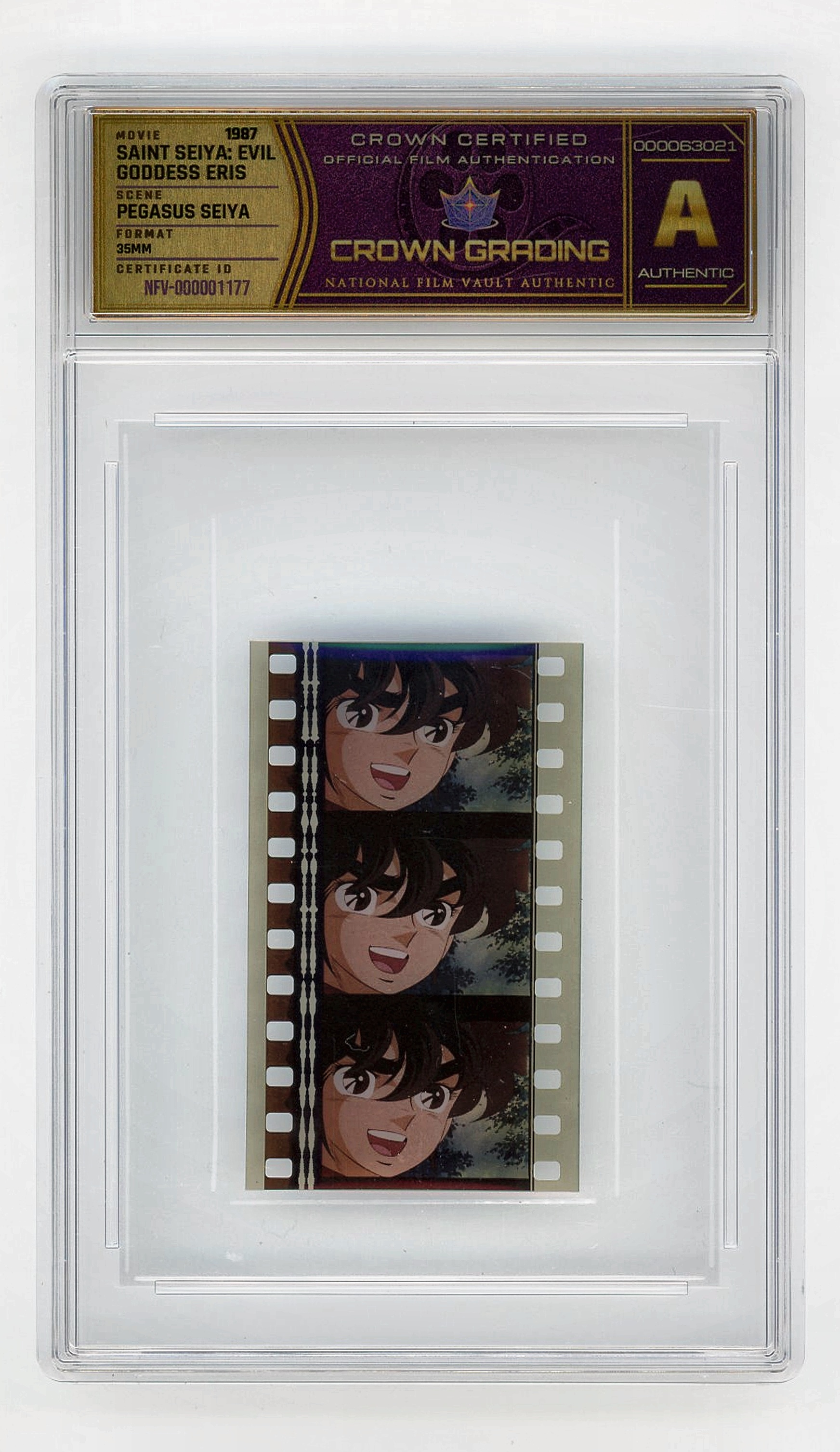 Pegasus Seiya