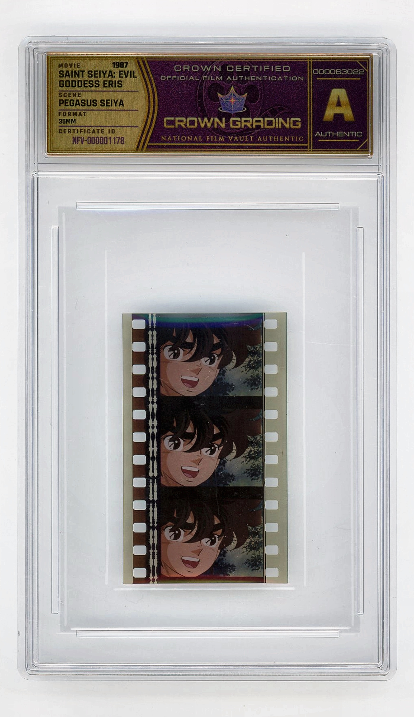 Pegasus Seiya