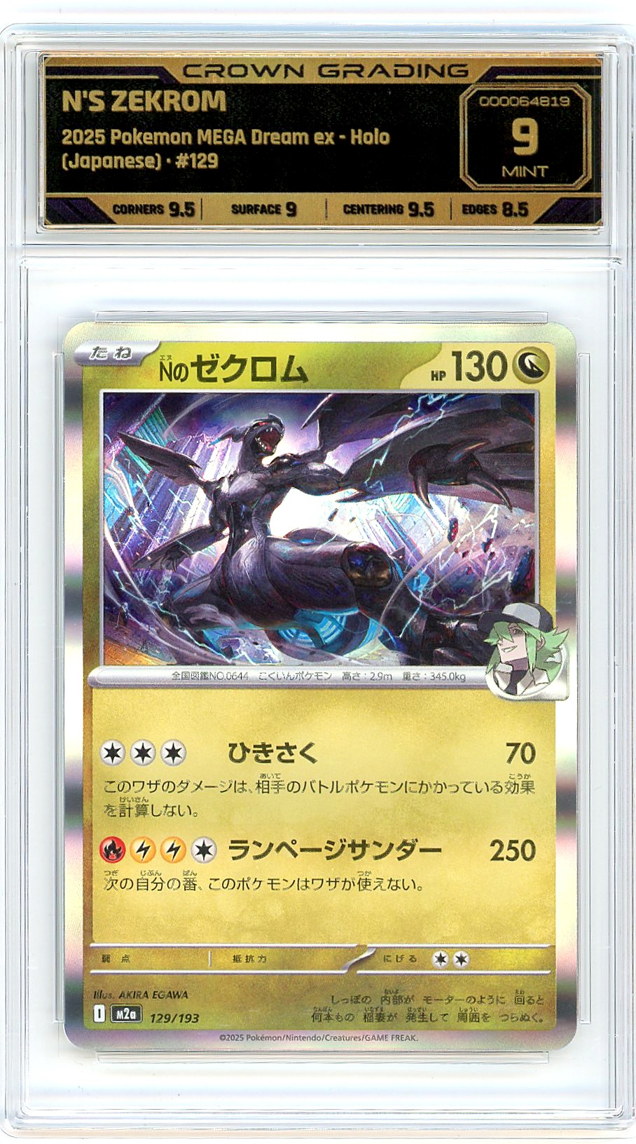 N's Zekrom