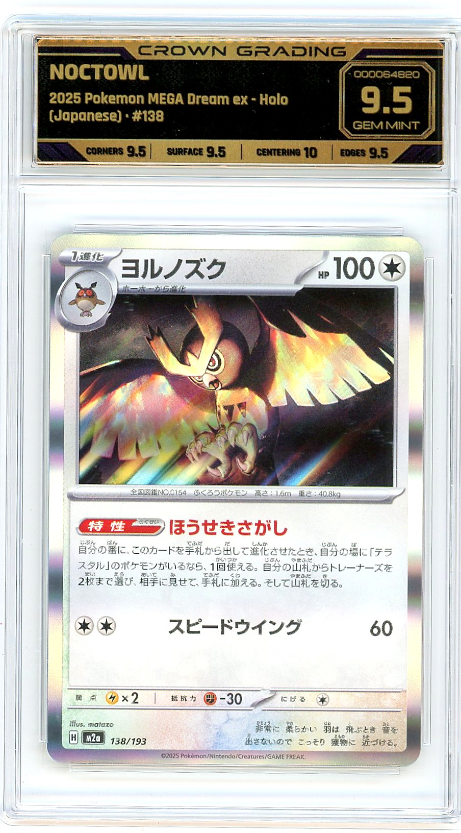 Noctowl