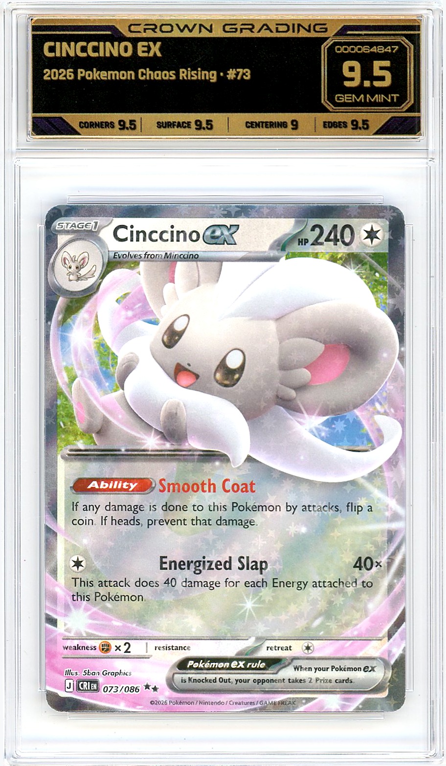 Cinccino ex