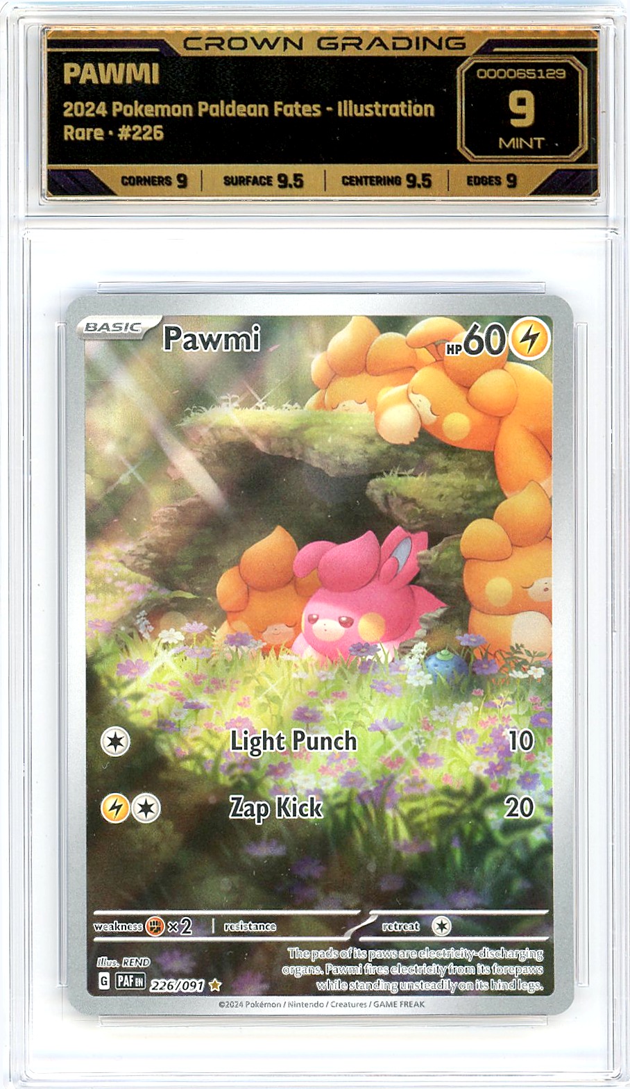 Pawmi