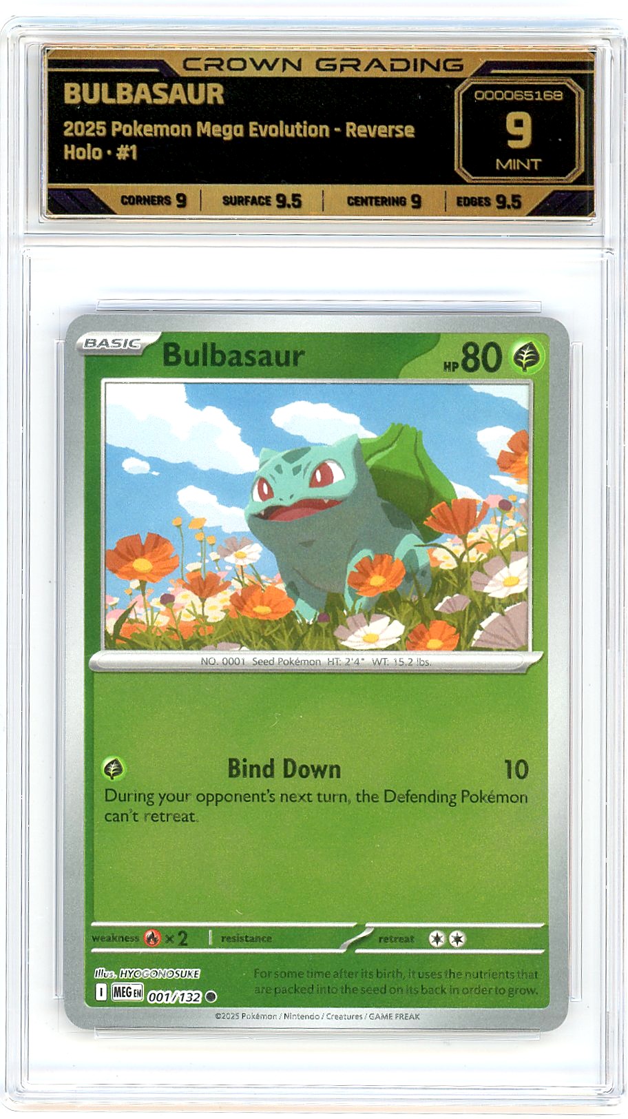 Bulbasaur