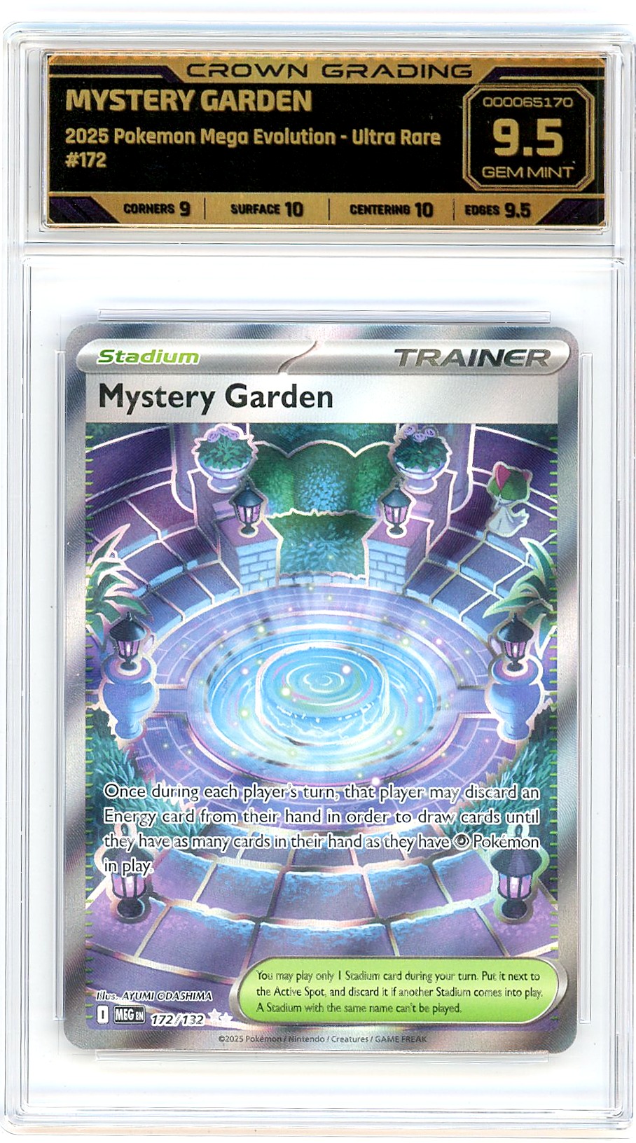 Mystery Garden