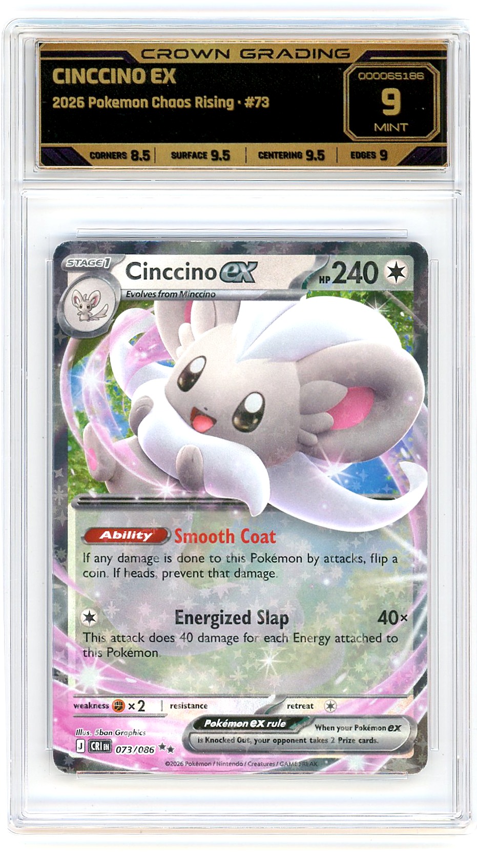 Cinccino ex