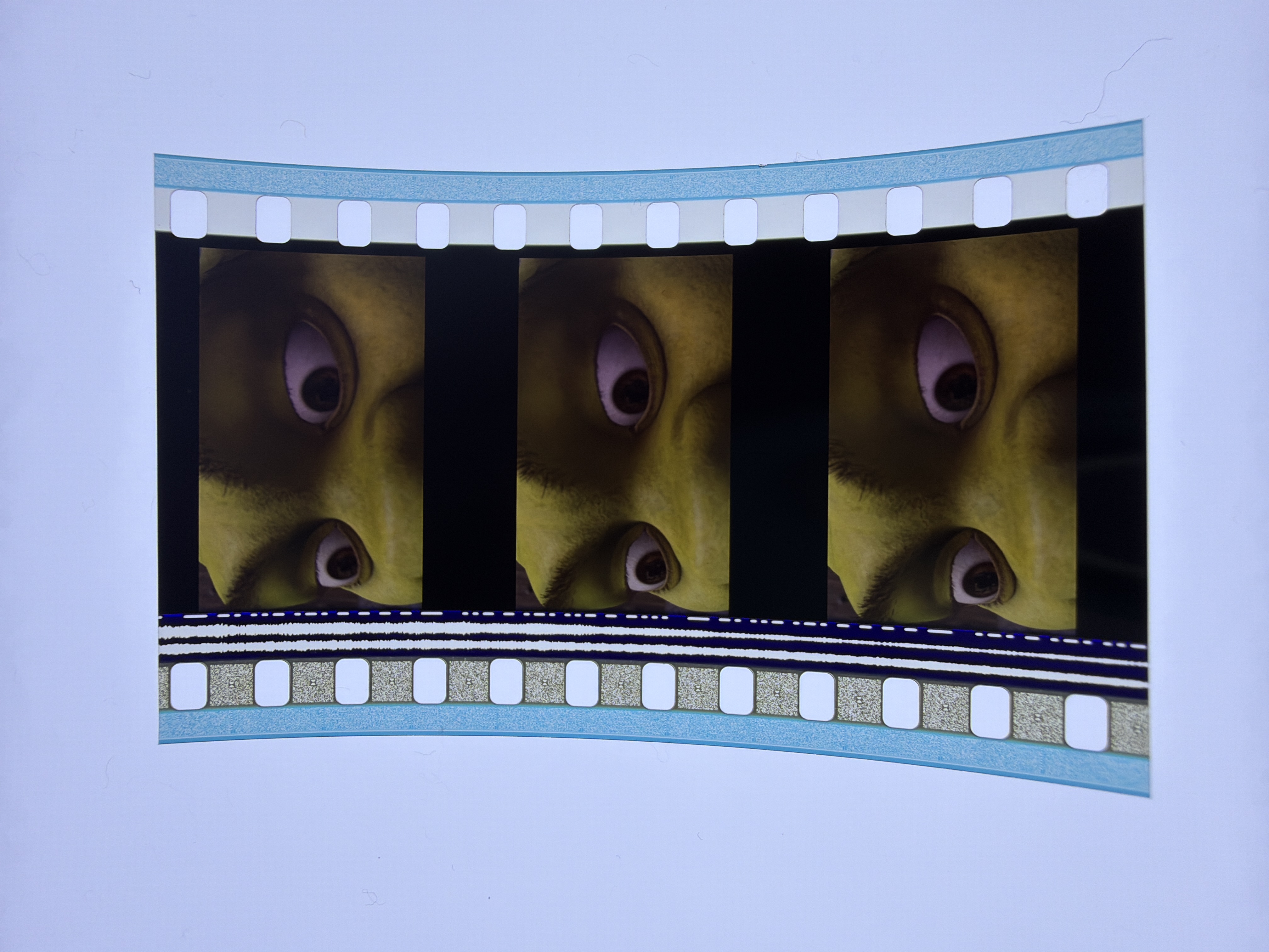 Shrek