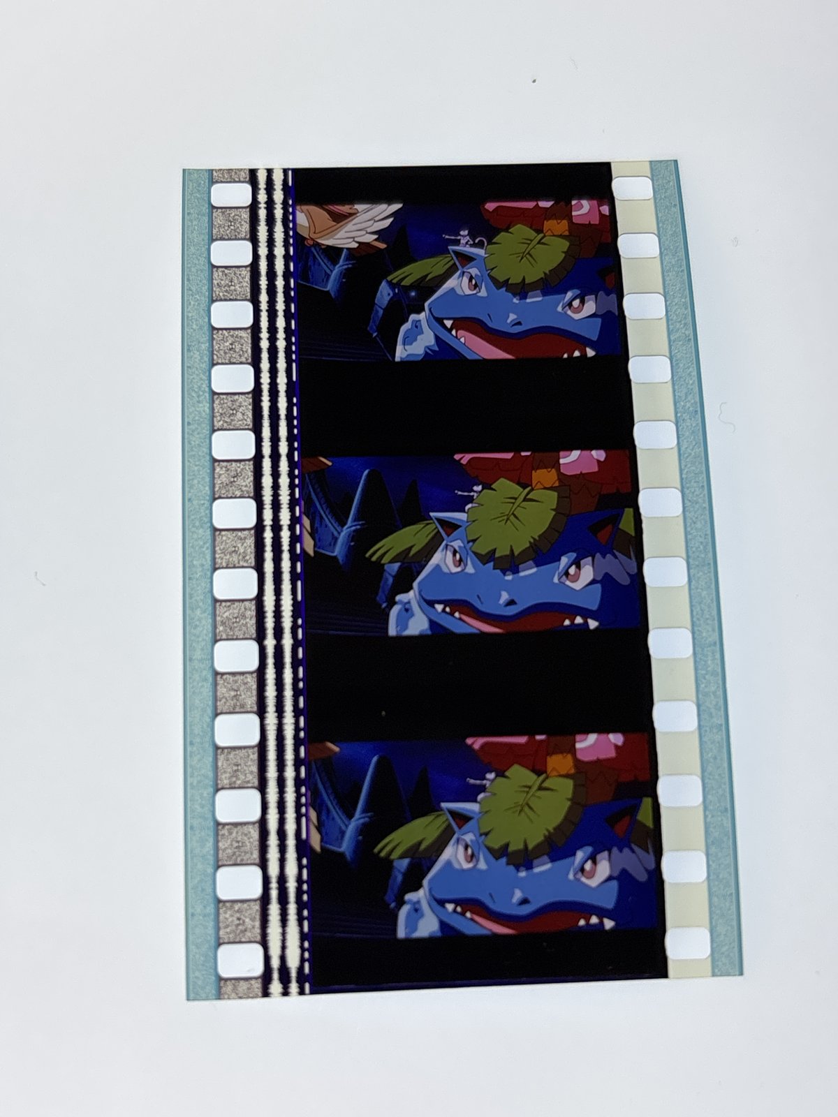 The film strip as photographed on the light panel at intake, before encapsulation